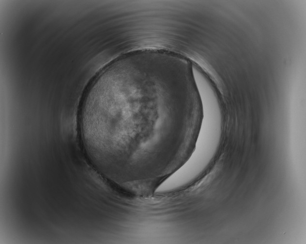X0000088690834200706141411