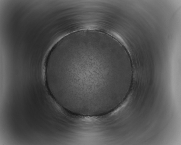 X0000088690835200706141411