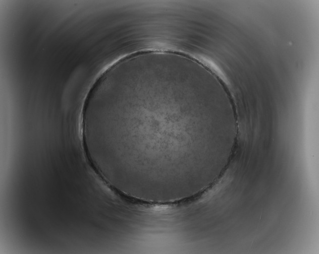 X0000088690839200706141411