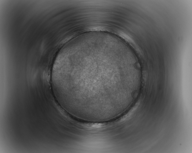 X0000088690841200706141411