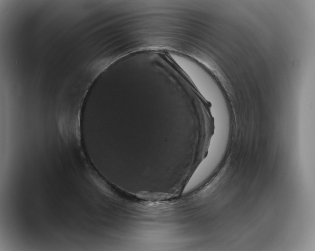 X0000088690842200706141411