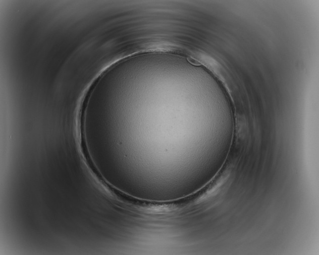 X0000088690843200706141411