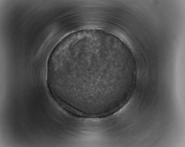 X0000088690844200706141411