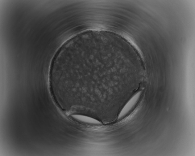 X0000088690845200706141411