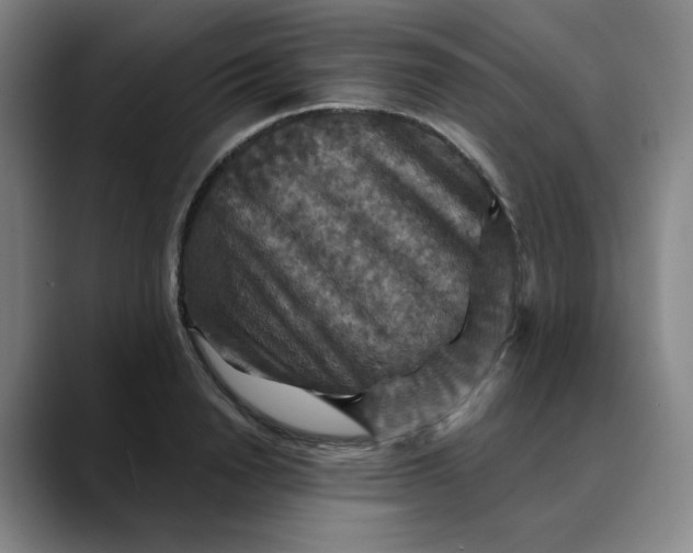 X0000088690846200706141411