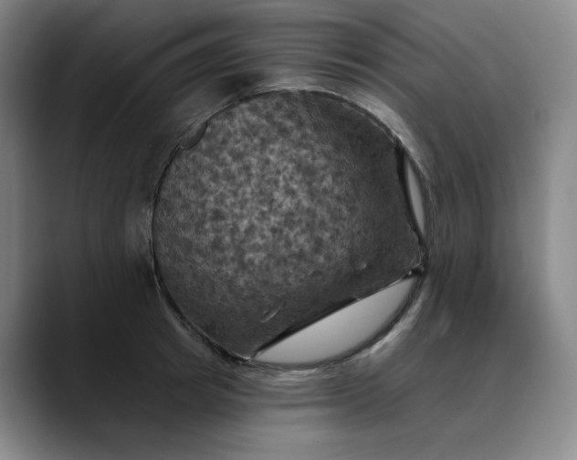 X0000088690849200706141411