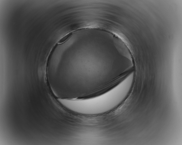 X0000088690850200706141411