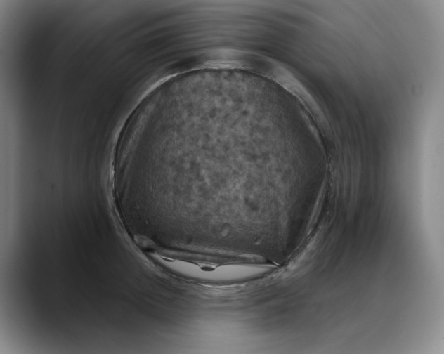 X0000088690852200706141411
