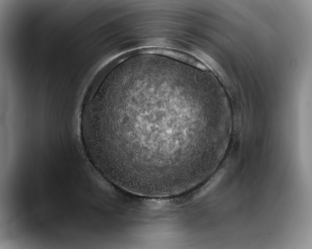 X0000088690854200706141411