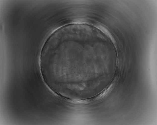 X0000088690855200706141411