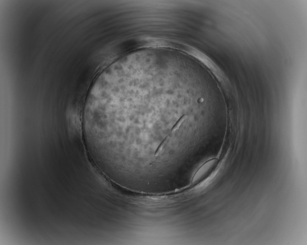 X0000088690857200706141411