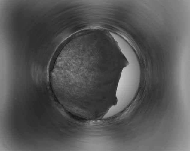 X0000088690858200706141411