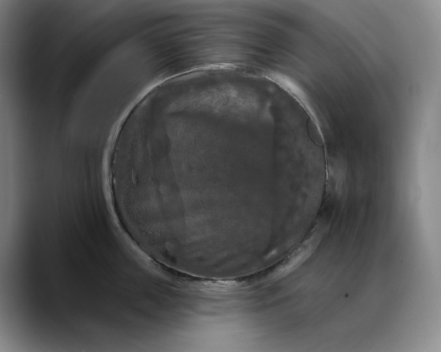 X0000088690859200706141411