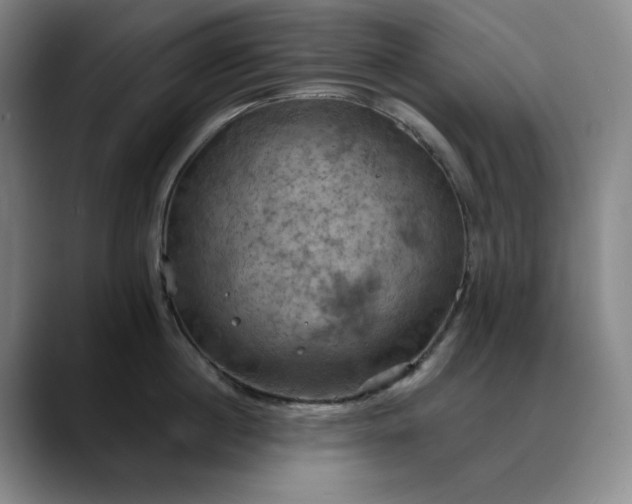 X0000088690860200706141411
