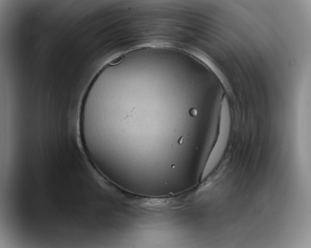 X0000088690861200706141411