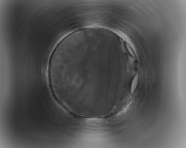 X0000088690863200706141411