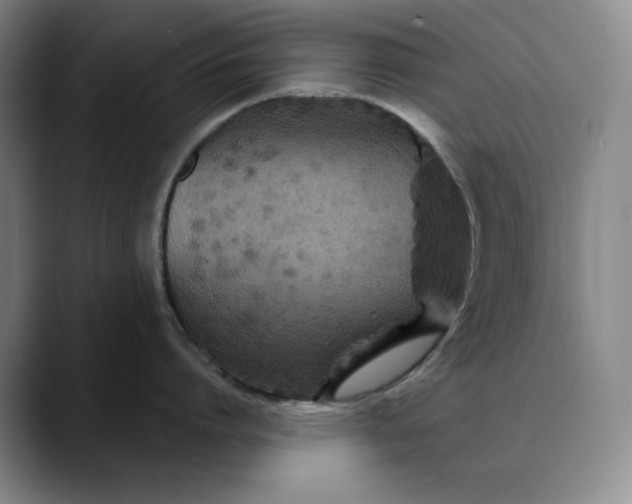 X0000088690864200706141411