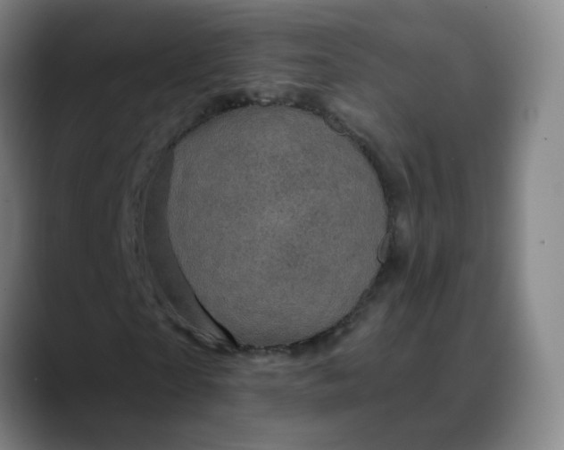 X0000088690865200706141410