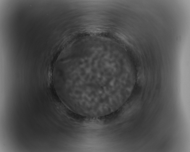 X0000088690866200706141410
