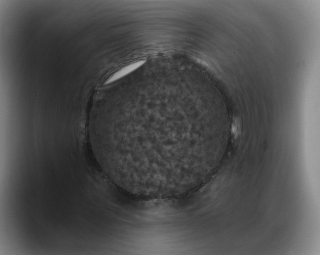 X0000088690867200706141410
