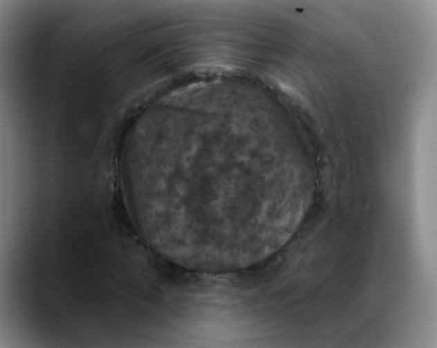 X0000088690870200706141410