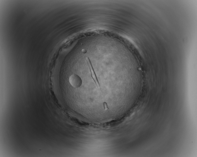 X0000088690871200706141410