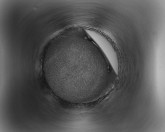 X0000088690872200706141410