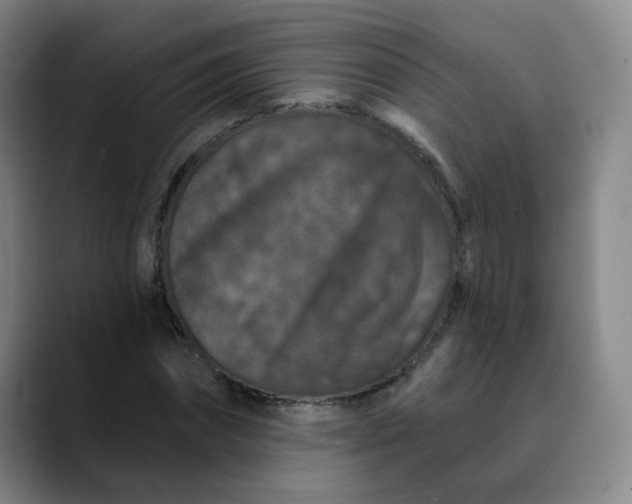 X0000088690874200706141410