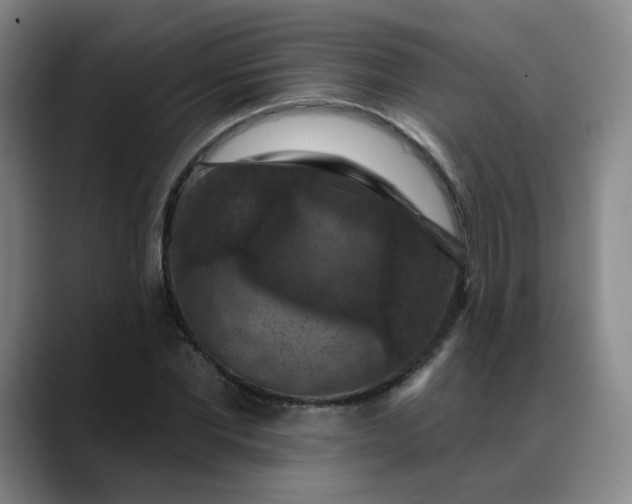 X0000088690877200706141410