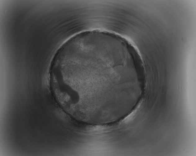 X0000088690879200706141410