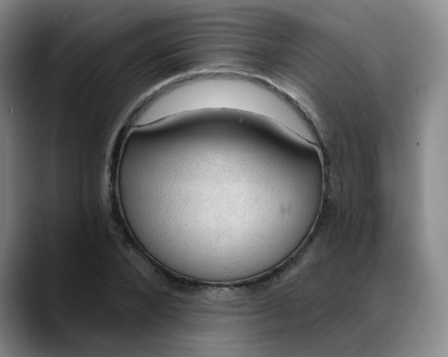 X0000088690880200706141410