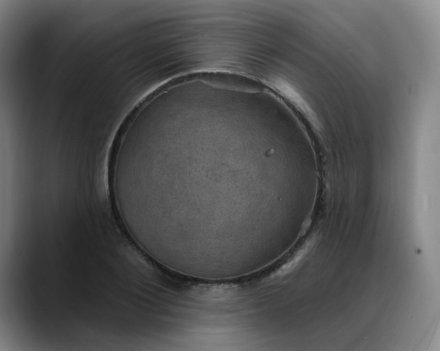 X0000088690884200706141410