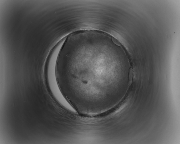 X0000088690885200706141410