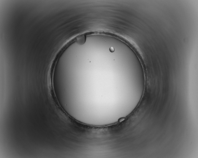 X0000088690887200706141410