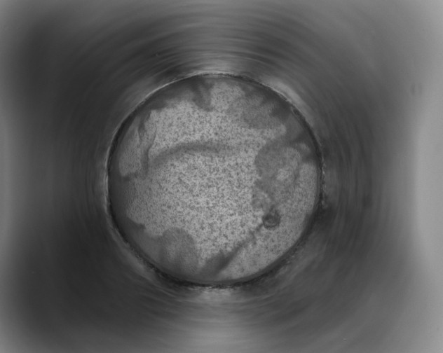 X0000088690890200706141410