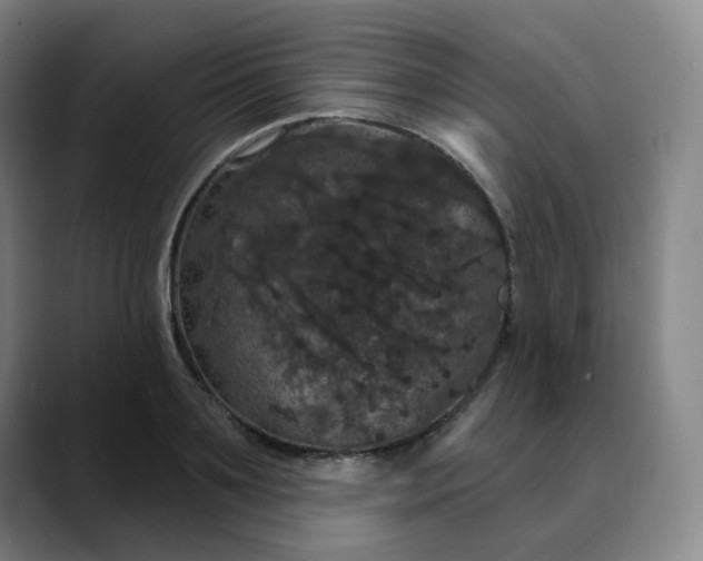 X0000088690891200706141410