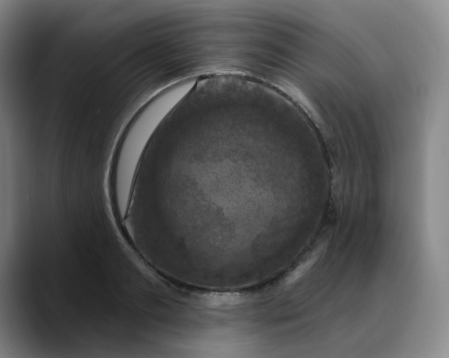 X0000088690893200706141410