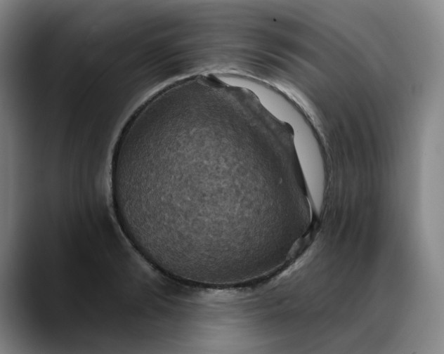 X0000088690894200706141410