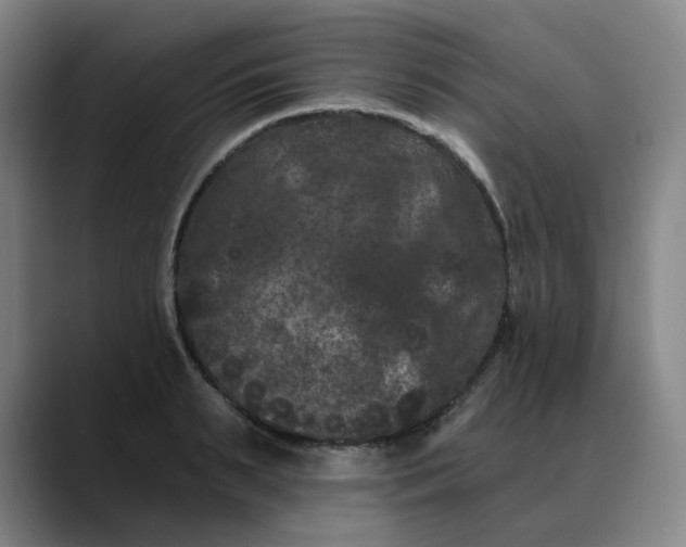 X0000088690895200706141410