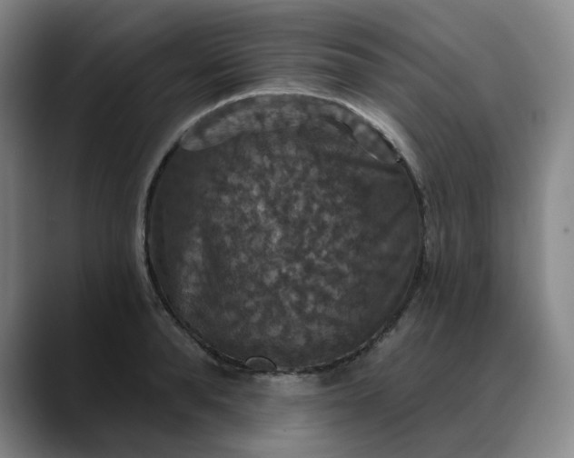 X0000088690896200706141410