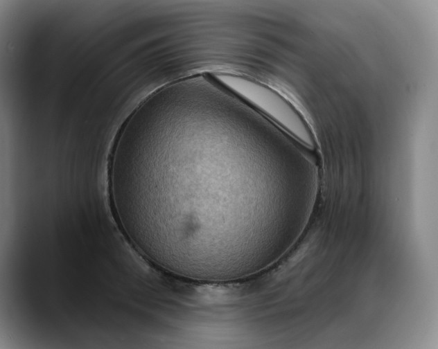 X0000088690898200706141410