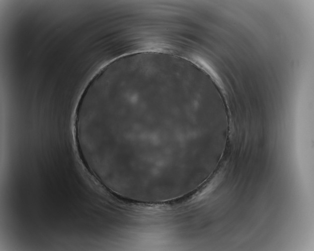 X0000088690899200706141410