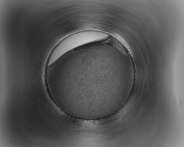 X0000088690901200706141410