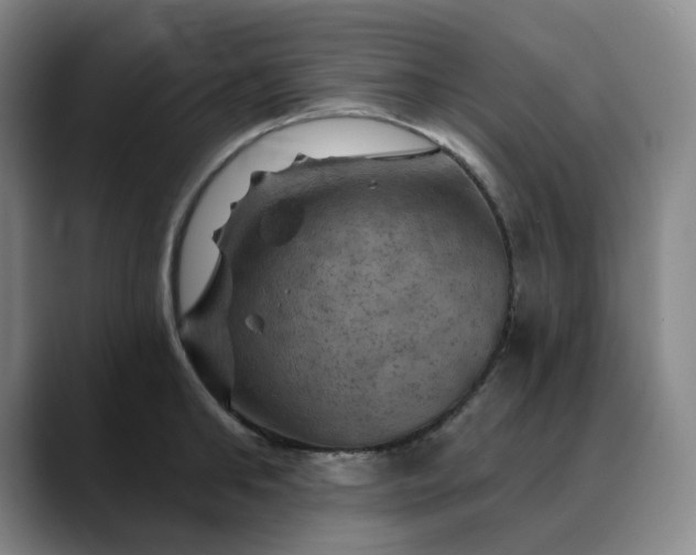 X0000088690902200706141410