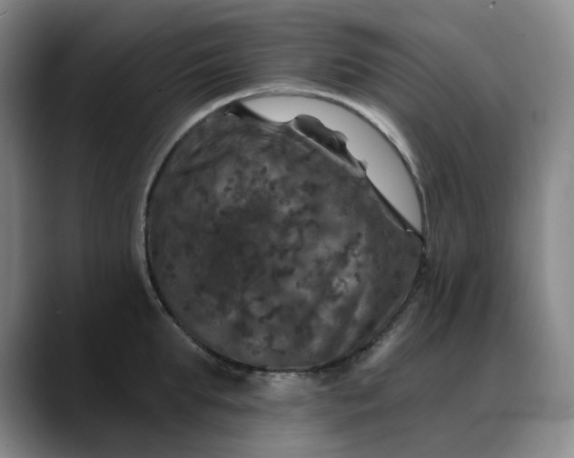 X0000088690903200706141410
