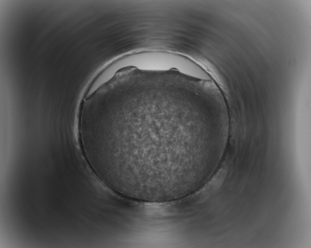 X0000088690904200706141410