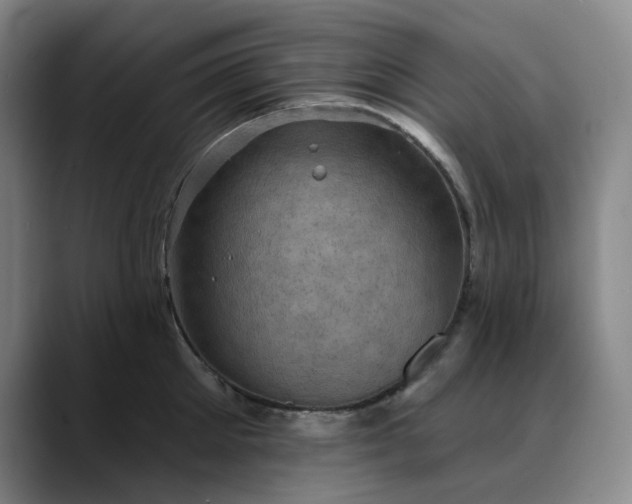 X0000088690905200706141410