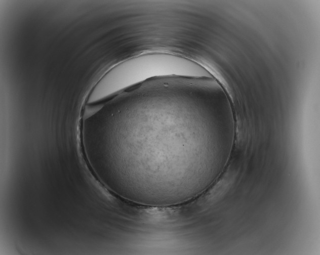X0000088690906200706141410
