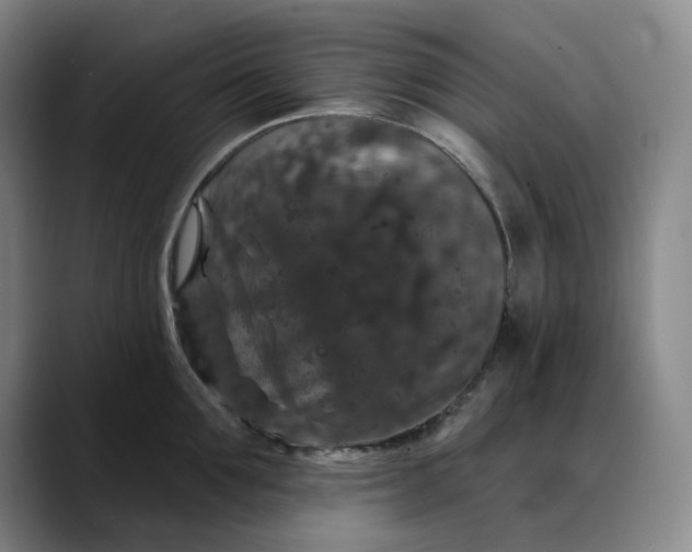 X0000088690907200706141410