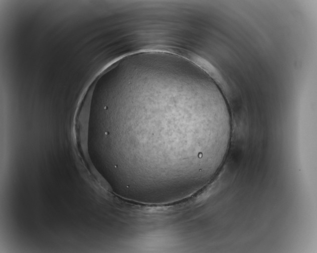 X0000088690908200706141410